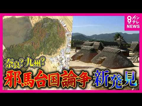 メディア出演・取材協力