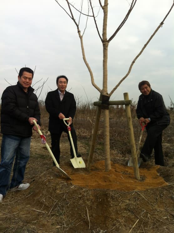 地球市民の森に『冬桜』を植樹